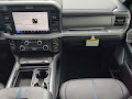 2025 Ford F-250SD Platinum